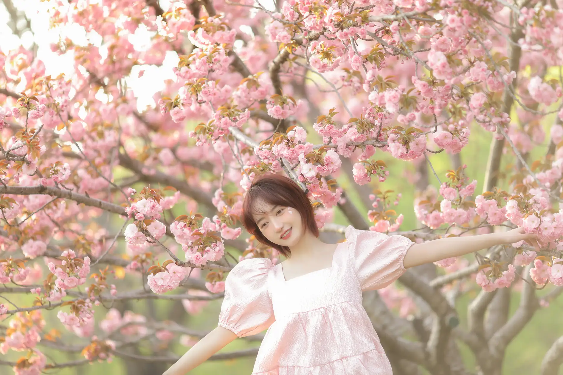 [YITUYU] 2022.07.08 Vol.1421 – Sakura Fall Cheng Fan#[21P]-13